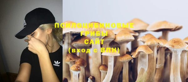 индика Белоозёрский