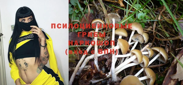 герыч Белокуриха