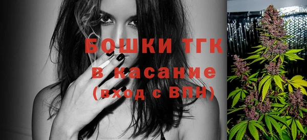 индика Белоозёрский